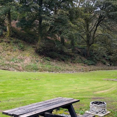 Bear Cottage, Tyn Y Cwm Eglwys-Fach Exterior foto